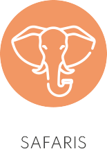 picto_safaris
